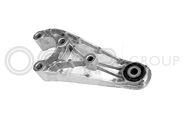 Variklio montavimas OCAP 1226049