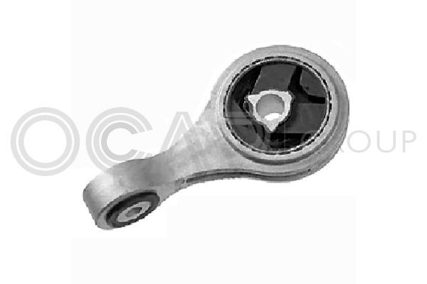 Variklio montavimas OCAP 1226056