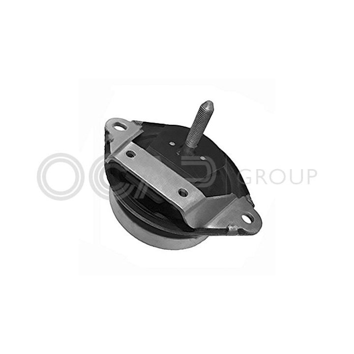 Variklio montavimas OCAP 1226057