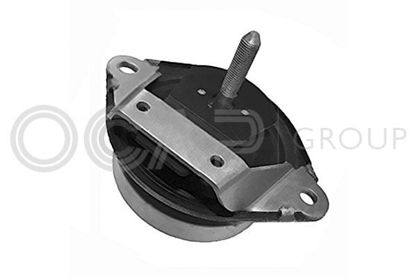 Variklio montavimas OCAP 1226057