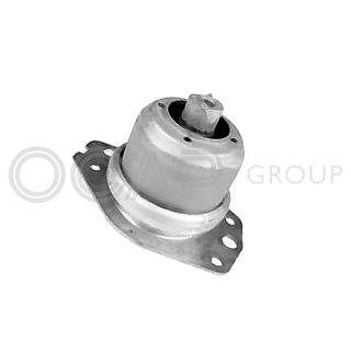 Variklio montavimas OCAP 1226058