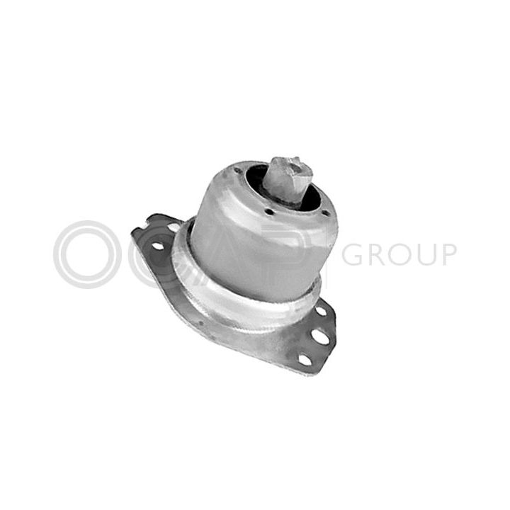 Variklio montavimas OCAP 1226058