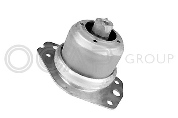 Variklio montavimas OCAP 1226058