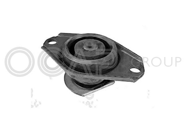 Variklio montavimas OCAP 1226059