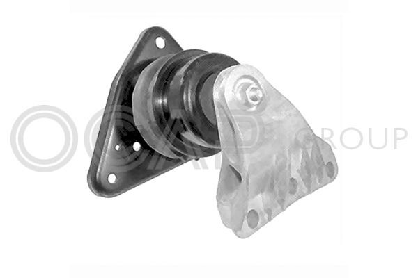 Variklio montavimas OCAP 1226063