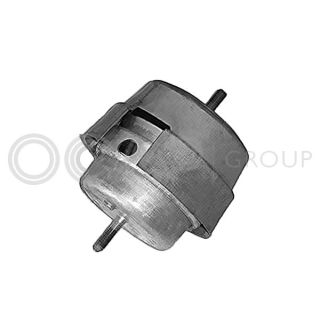 Variklio montavimas OCAP 1226072