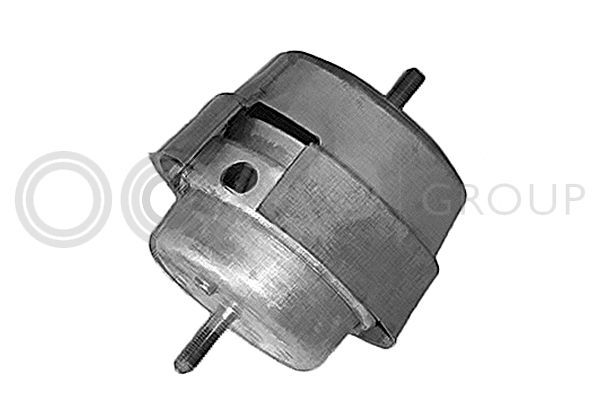 Variklio montavimas OCAP 1226072