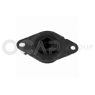 Variklio montavimas OCAP 1226145