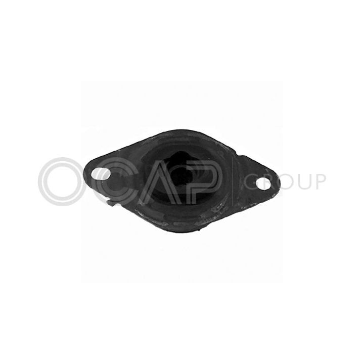 Variklio montavimas OCAP 1226145