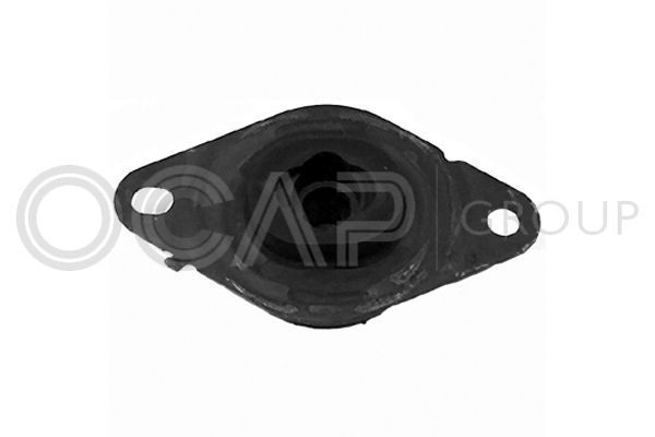 Variklio montavimas OCAP 1226145