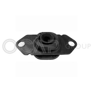 Variklio montavimas OCAP 1226146