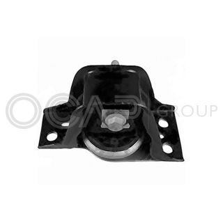 Variklio montavimas OCAP 1226147