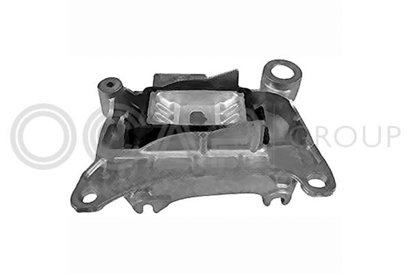 Variklio montavimas OCAP 1226154