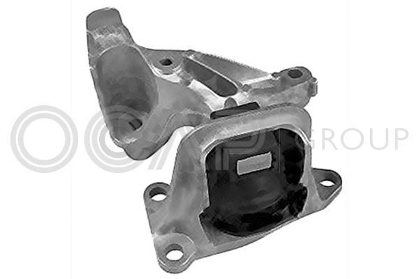 Variklio montavimas OCAP 1226155