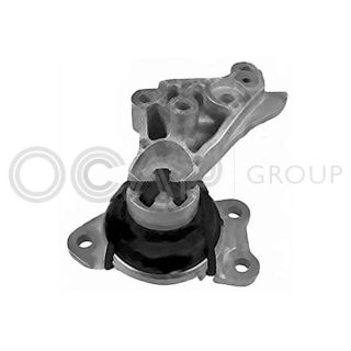Variklio montavimas OCAP 1226157