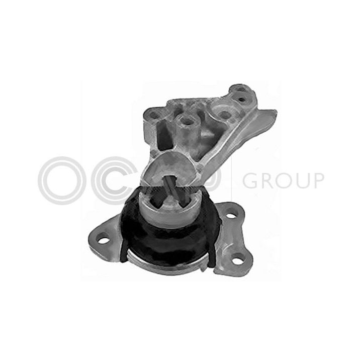 Variklio montavimas OCAP 1226157