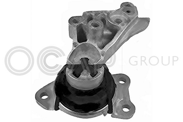 Variklio montavimas OCAP 1226157