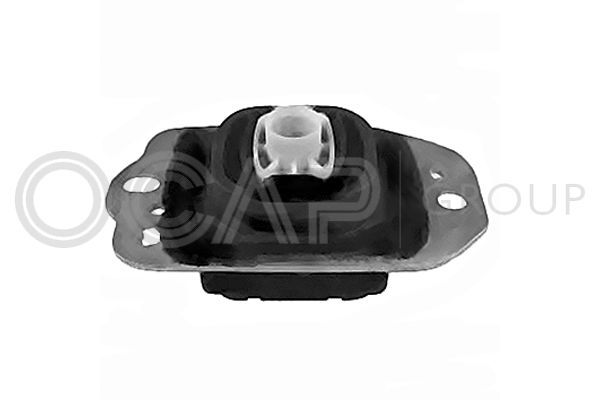 Variklio montavimas OCAP 1226158