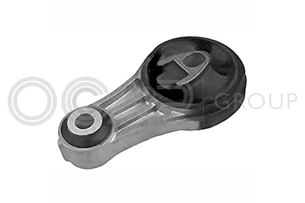 Variklio montavimas OCAP 1226159