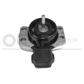 Variklio montavimas OCAP 1226161