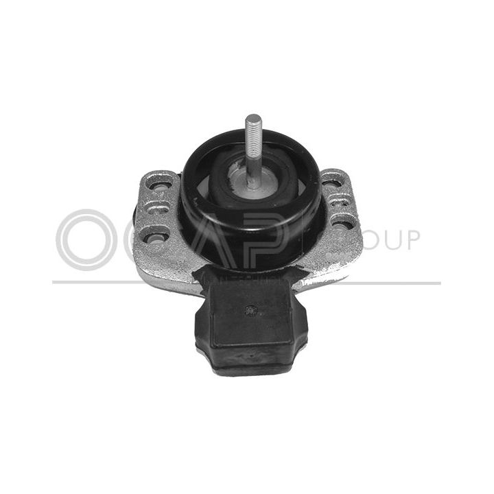 Variklio montavimas OCAP 1226161