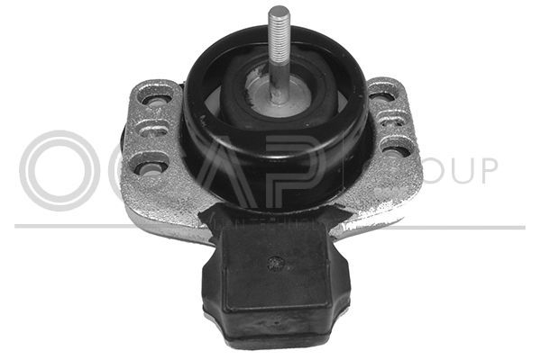 Variklio montavimas OCAP 1226161
