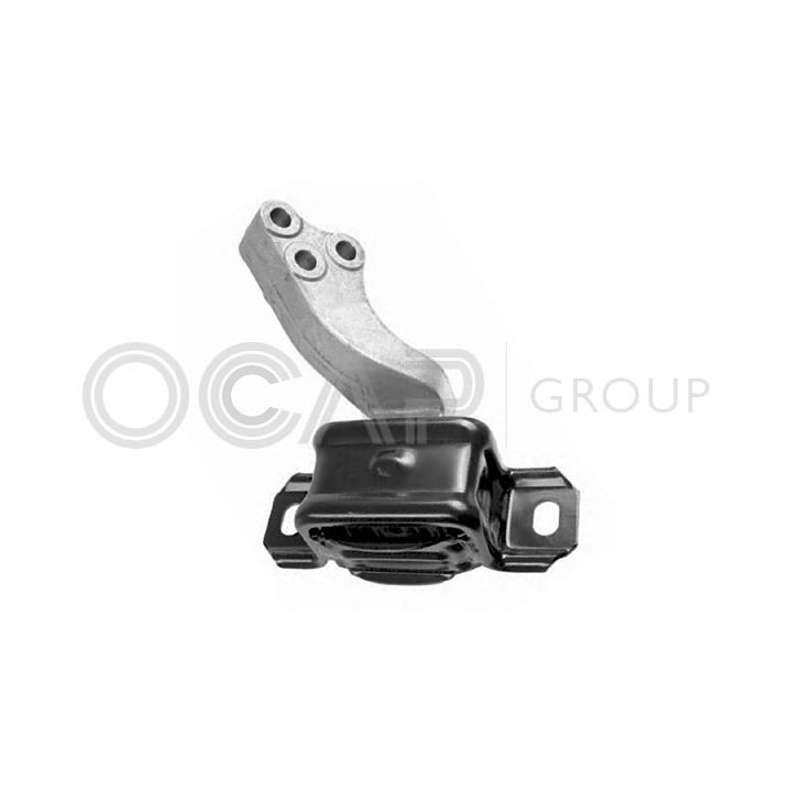 Variklio montavimas OCAP 1226267