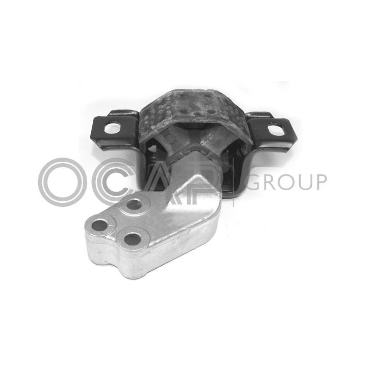 Variklio montavimas OCAP 1226268