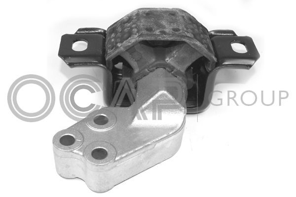 Variklio montavimas OCAP 1226268