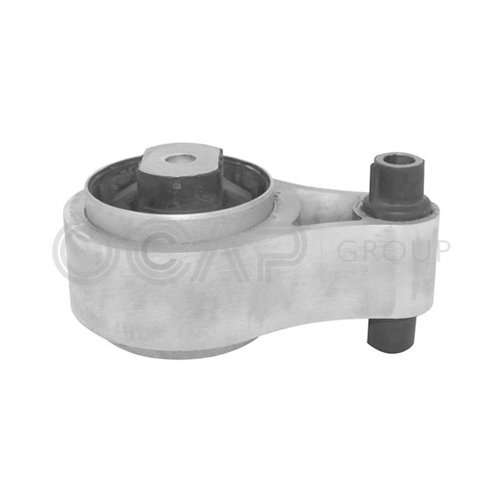 Variklio montavimas OCAP 1226308