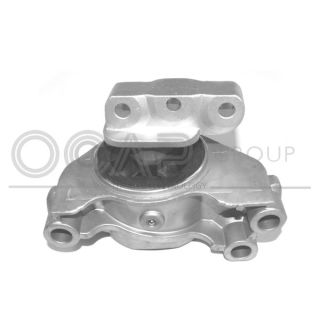 Variklio montavimas OCAP 1226327
