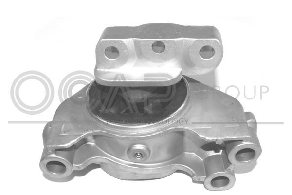 Variklio montavimas OCAP 1226327