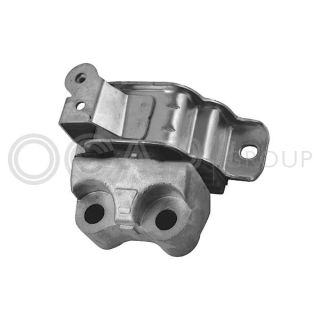 Variklio montavimas OCAP 1226328