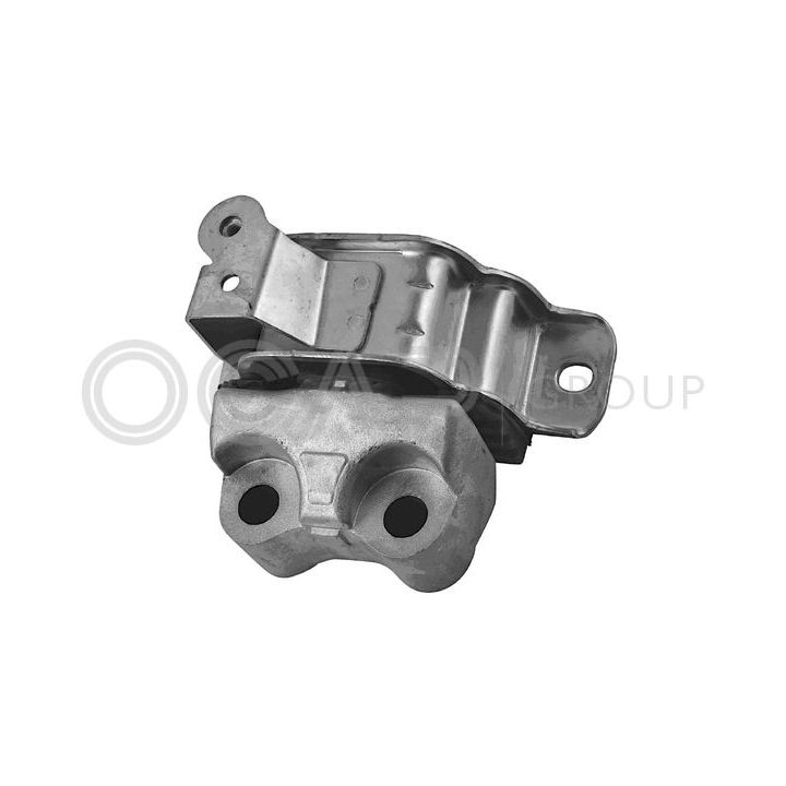 Variklio montavimas OCAP 1226328