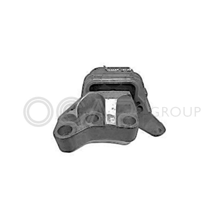 Variklio montavimas OCAP 1226335