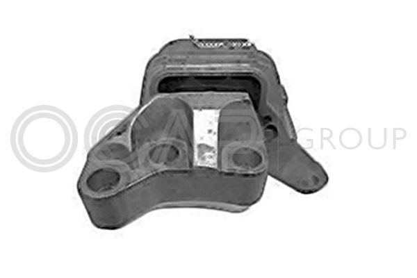 Variklio montavimas OCAP 1226335