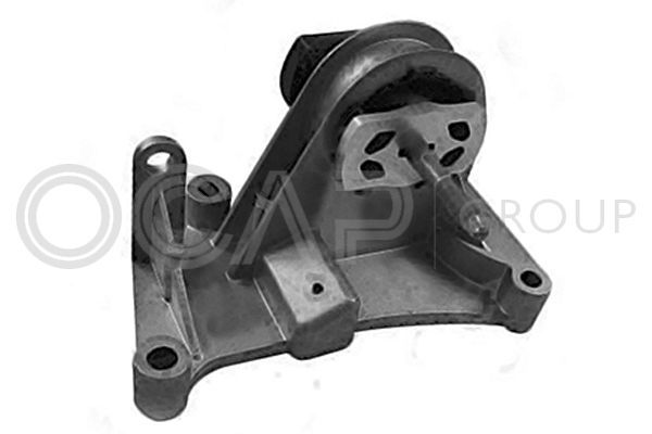 Variklio montavimas OCAP 1226336