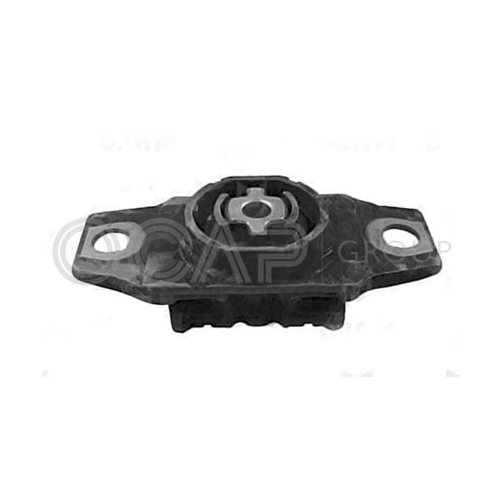 Variklio montavimas OCAP 1226337