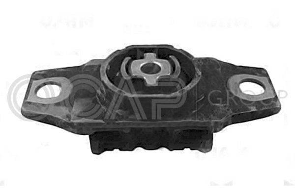 Variklio montavimas OCAP 1226337