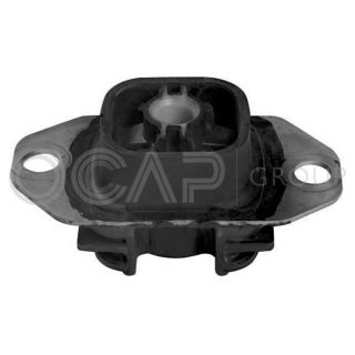 Variklio montavimas OCAP 1226346