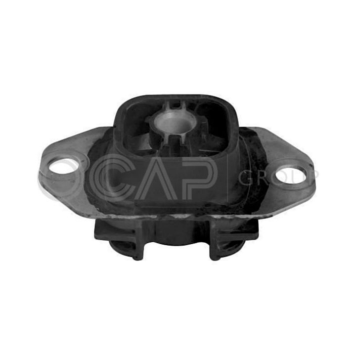 Variklio montavimas OCAP 1226346