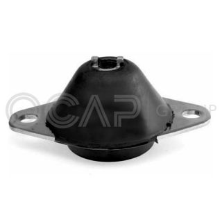 Variklio montavimas OCAP 1226348