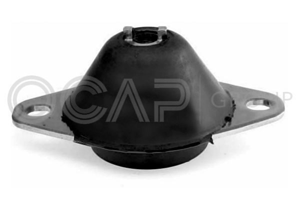 Variklio montavimas OCAP 1226348