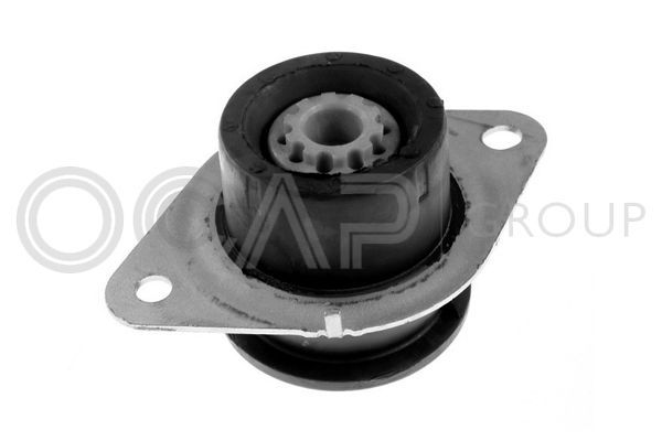 Variklio montavimas OCAP 1226349