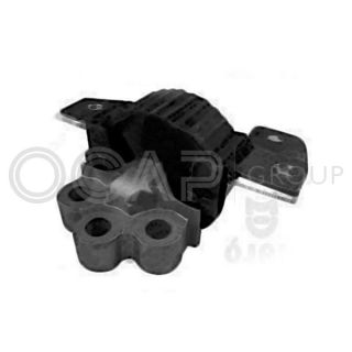 Variklio montavimas OCAP 1226353