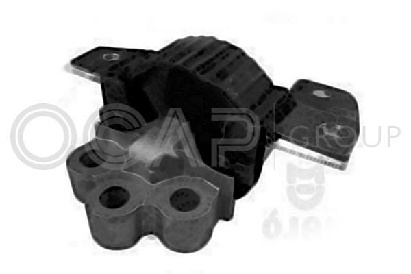 Variklio montavimas OCAP 1226353