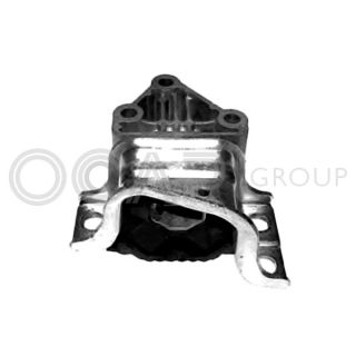 Variklio montavimas OCAP 1226355