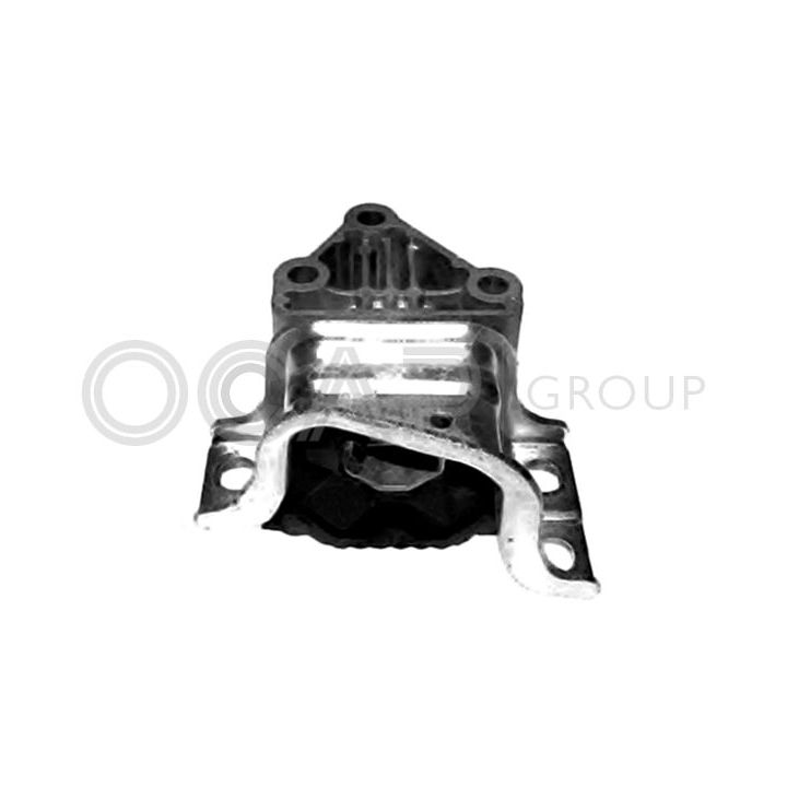 Variklio montavimas OCAP 1226355