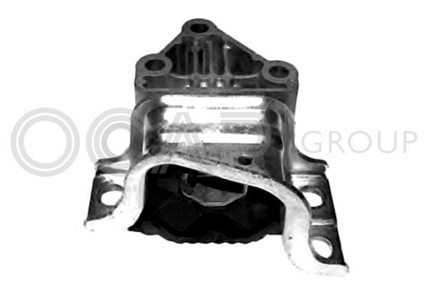 Variklio montavimas OCAP 1226355