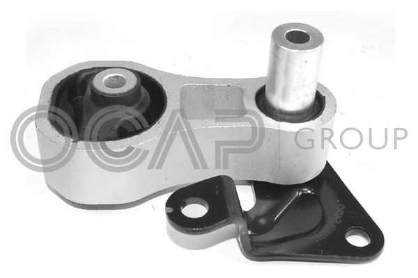 Variklio montavimas OCAP 1226366